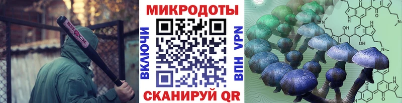 Псилоцибиновые грибы ЛСД мега маркетплейс Цимлянск купить наркотики сайты
